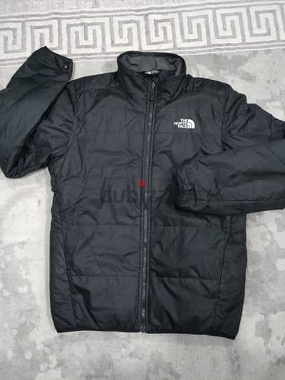 the north face original