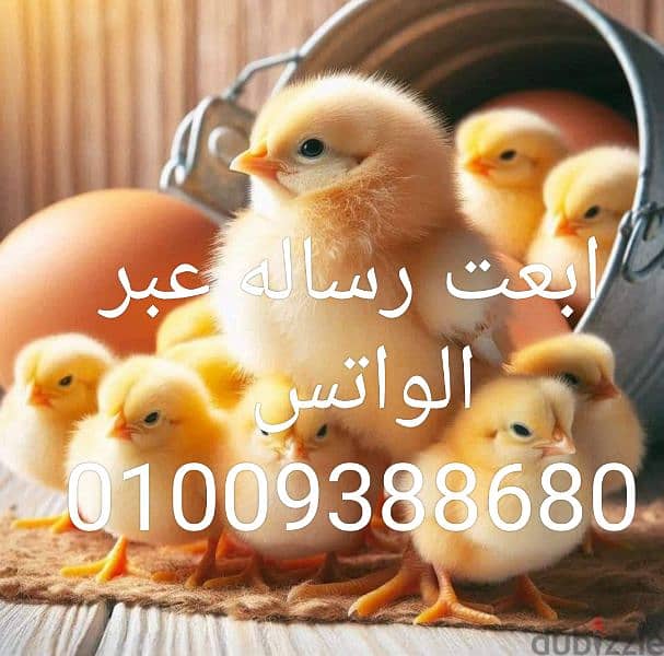 الماسه للصناعات الهندسيه 1