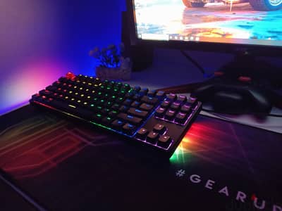 HAVIT KB489L TKL Mechanical Red Switch Keyboard