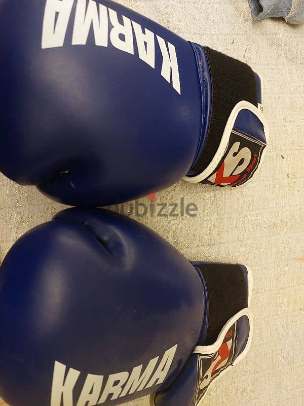 boxing gloves 1