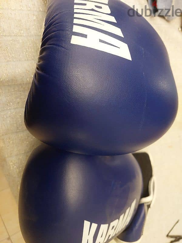 boxing gloves 2