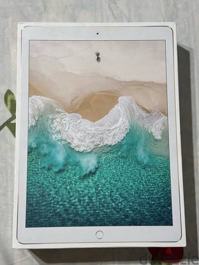 ipad pro 12.9 2nd generation 256GB wifi only