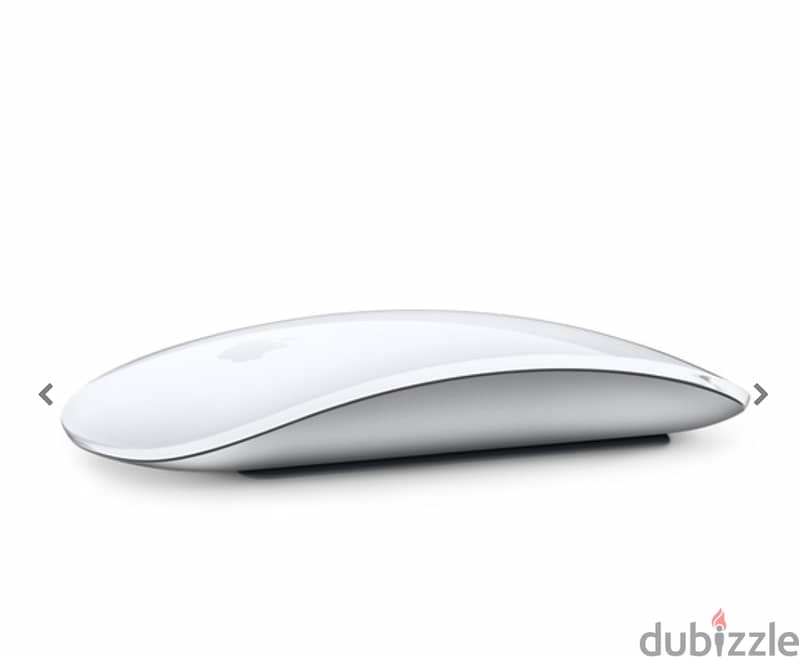 Magic Mouse 2 0