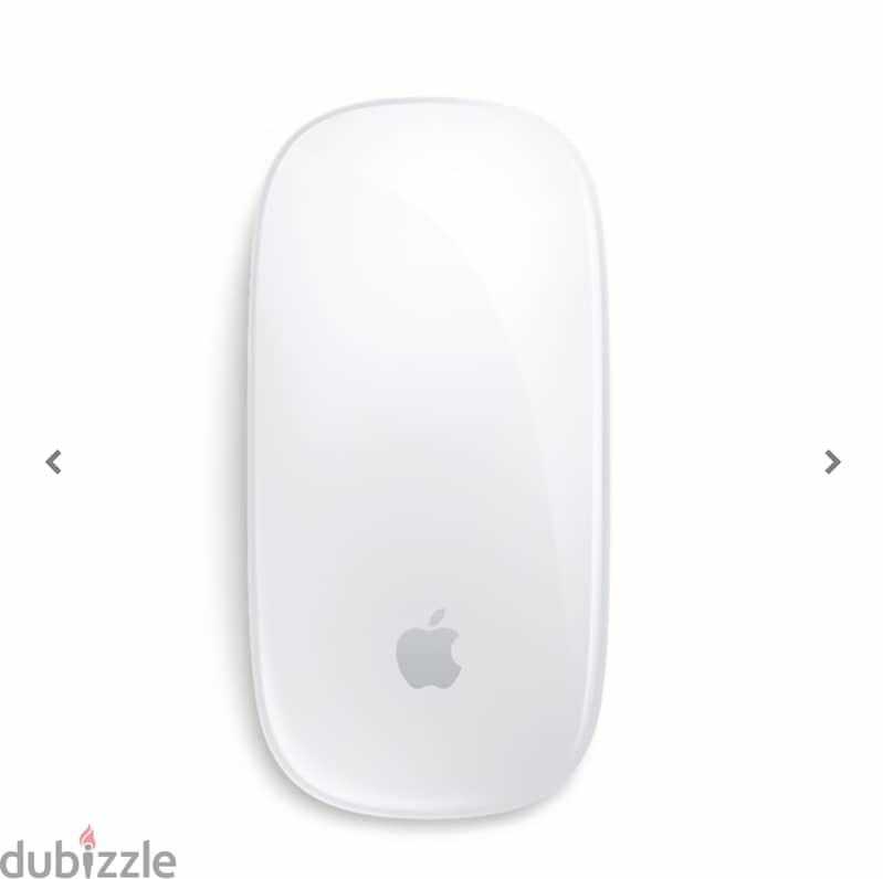 Magic Mouse 2 1