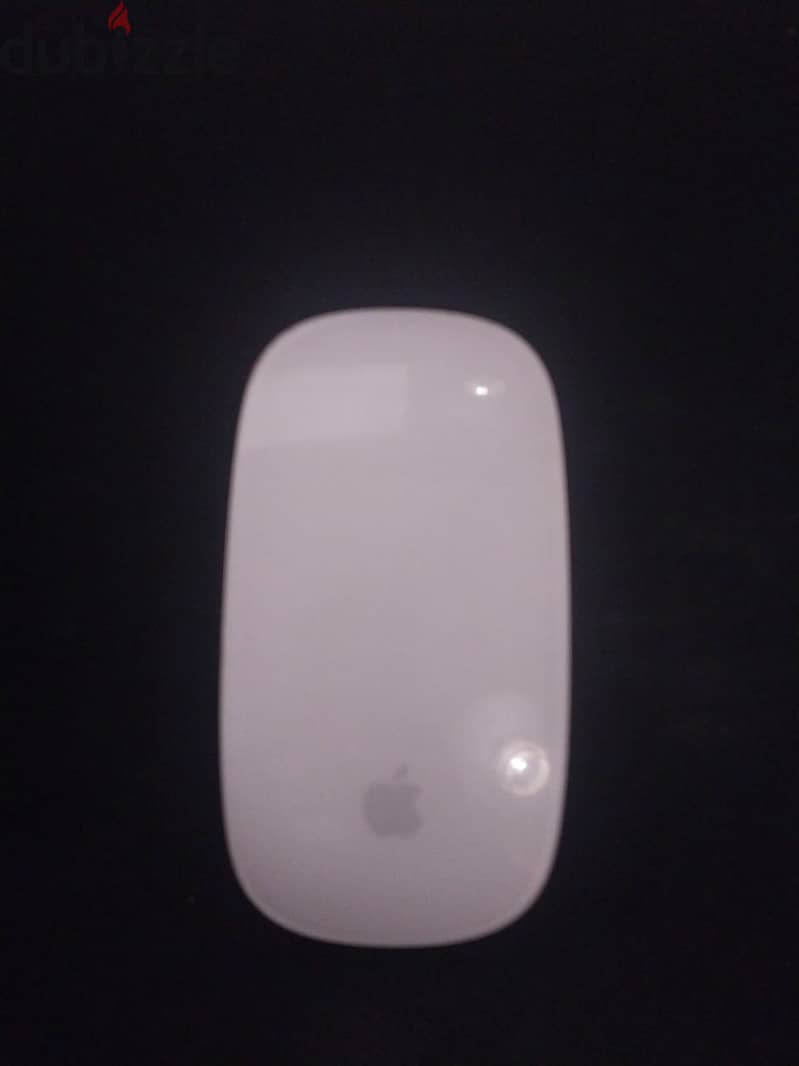 Magic Mouse 2 4