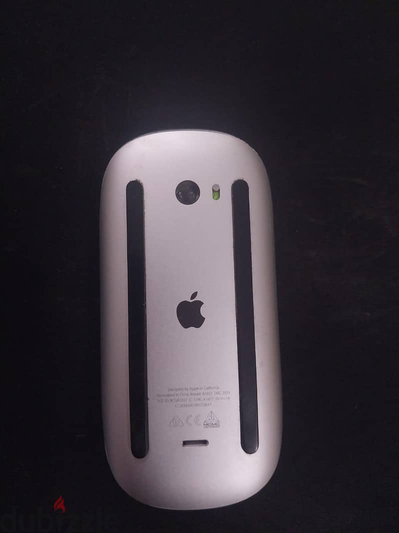 Magic Mouse 2 5