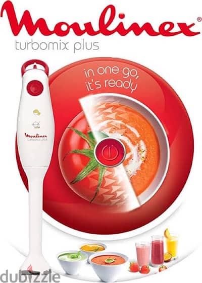 hand blender moulinex