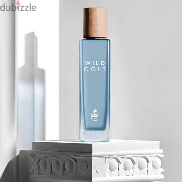 عطر عساف wild colt 1