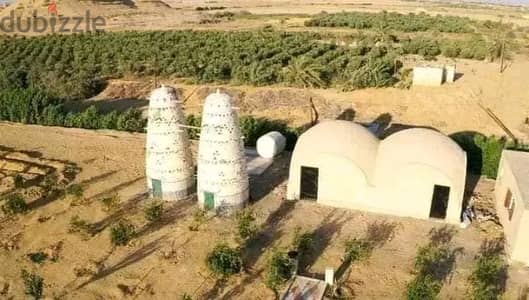 ارض للبيع في الفيوم20فدان \ Land for sale in al fayoum