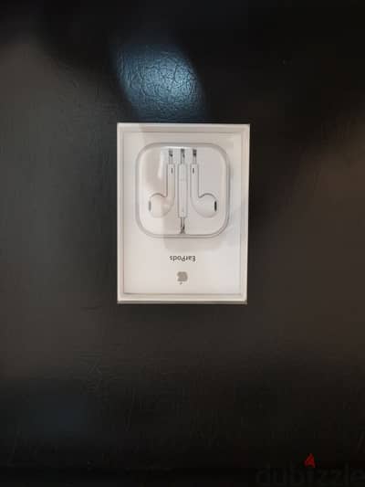 EarPods