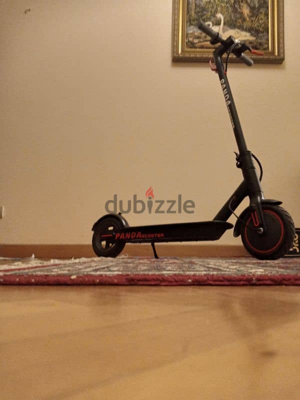 electric scooter panda/ سكوتر كهربائي باندا 6