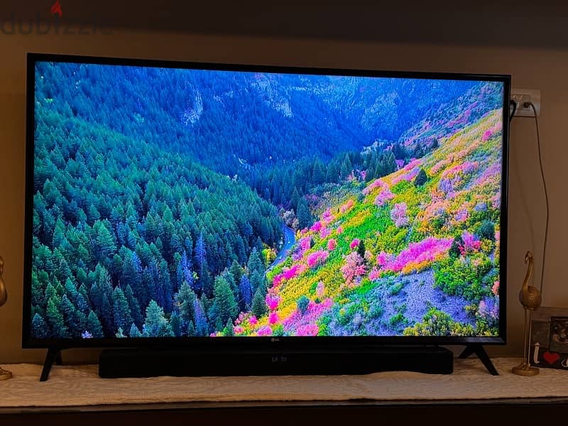 LG 55 inch Smart 4K 2