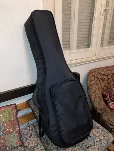 Acoustic guitar hard case