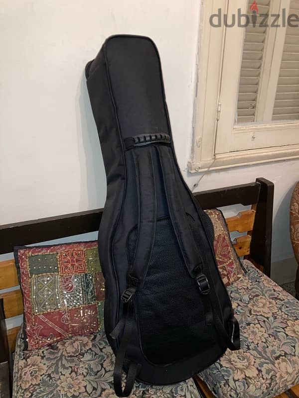 Acoustic guitar hard case 2