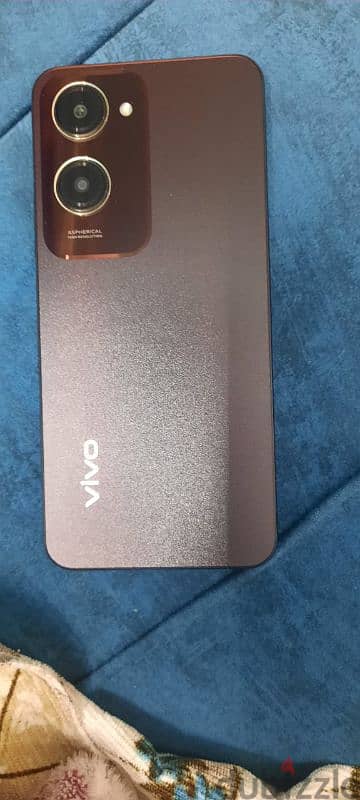 vivo