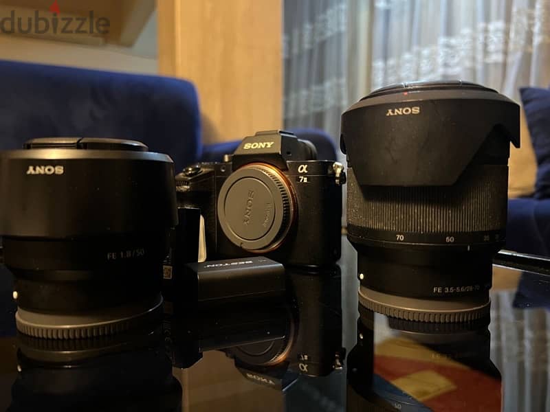 sony a7 2 with lenses 6