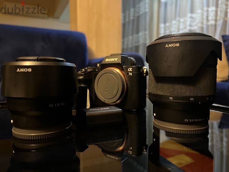 sony a7 2 with lenses 7