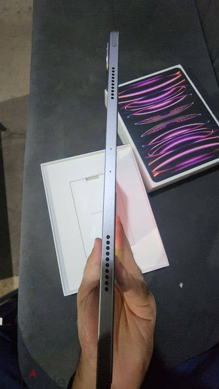 Ipad pro m2 12.9 512 5