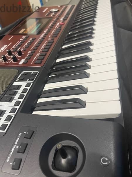 korg pa700 6