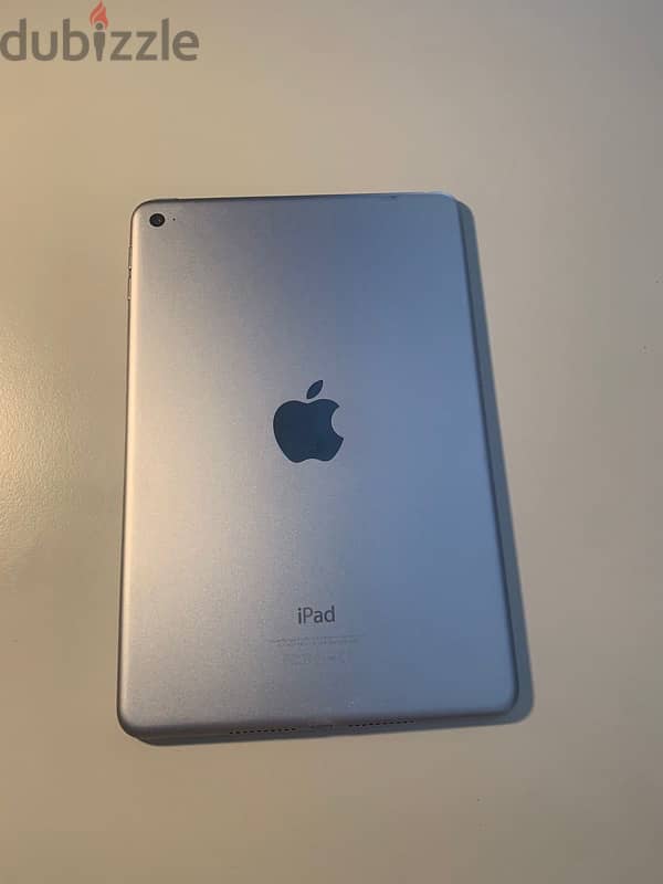 iPad mini 4 2