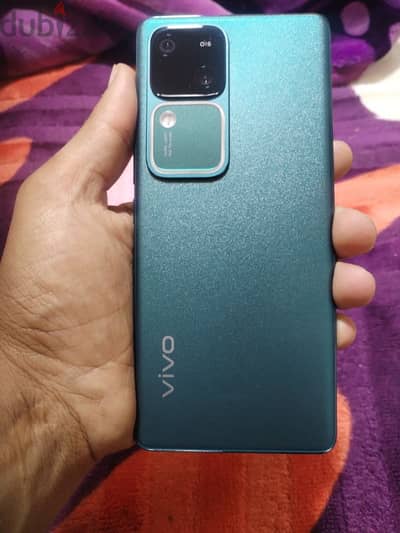 vivo