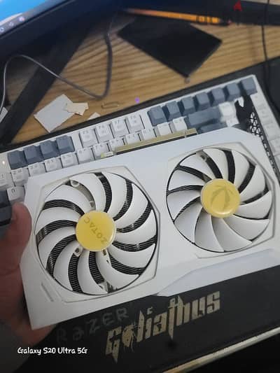 zotac