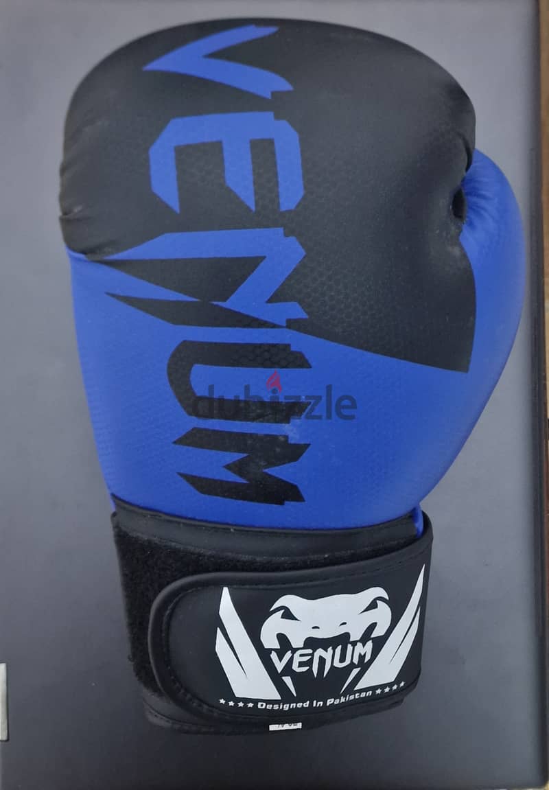 Boxing Gloves Venum 0