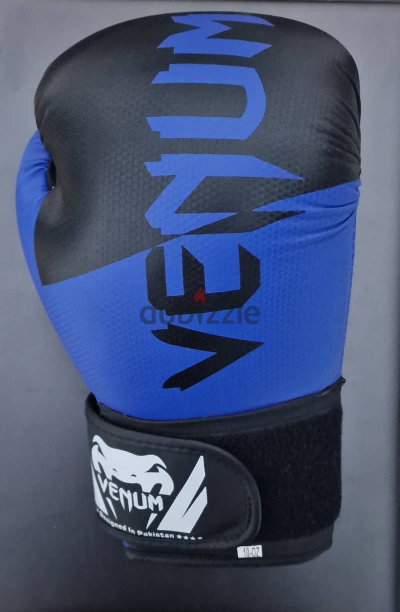 Boxing Gloves Venum 1