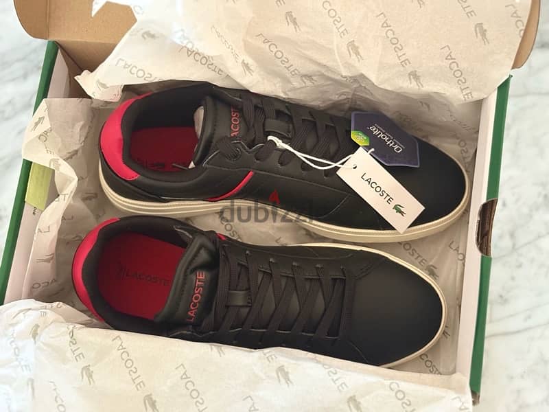 Brand New Lacoste Shoes 4