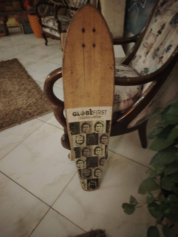 Globe Skateboard 1