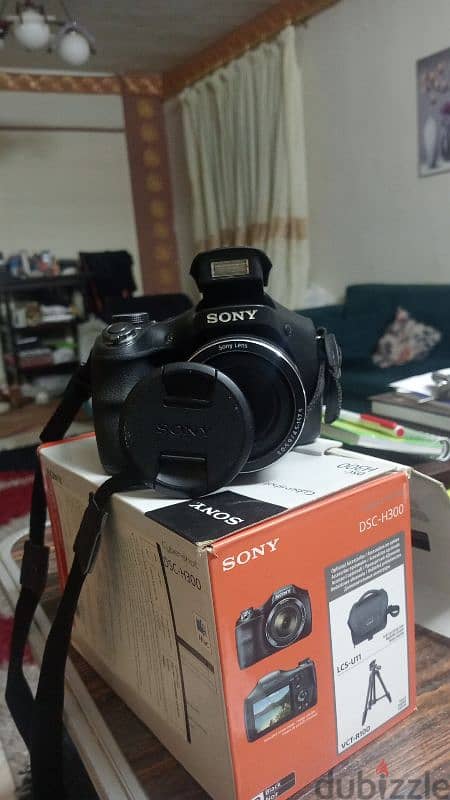 sony DSC H-300 2