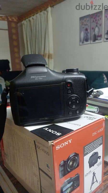 sony DSC H-300 3