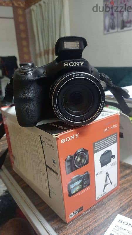 sony DSC H-300 6