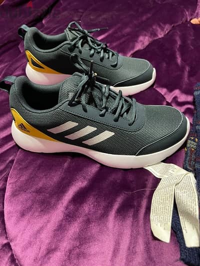 Adidas questeron shoes