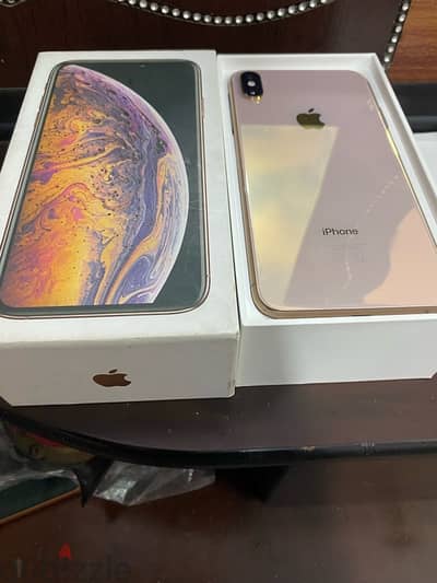 XS Max 256