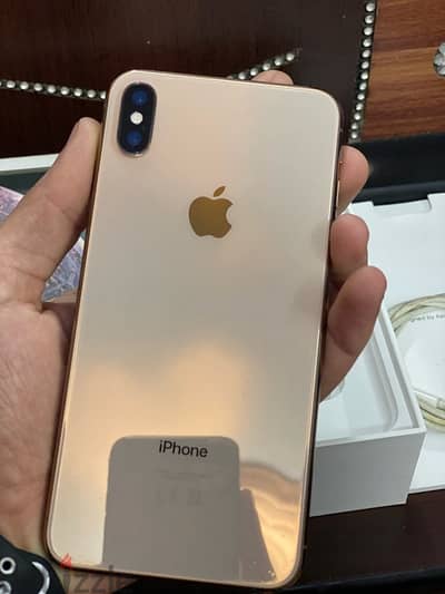 XS Max 256