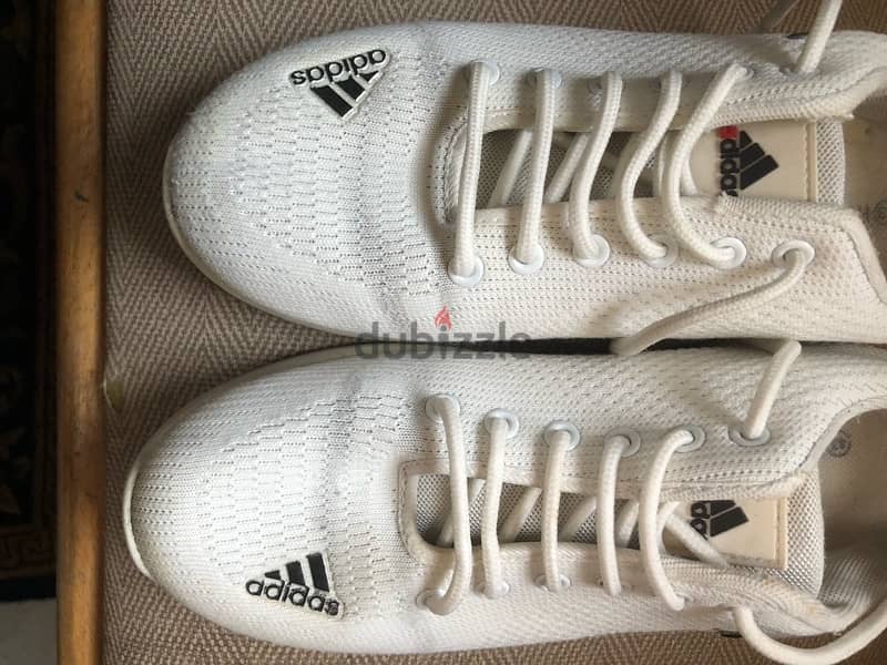 كوتشين adidas مقاس 43 1