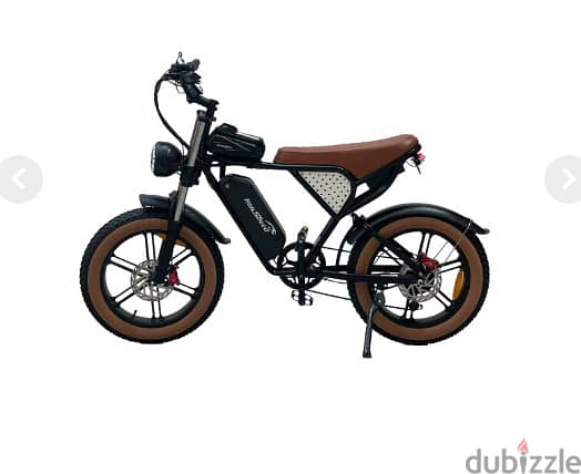 Ridstar Q20 E-Bike  دراجة كهربائية 2