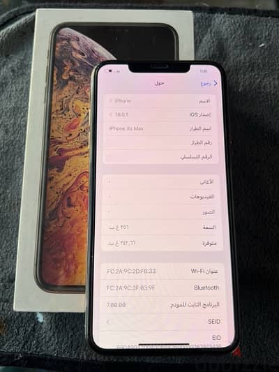 Xs max 256G