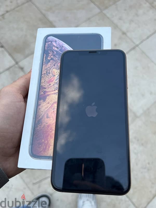 Xs max 256G 4