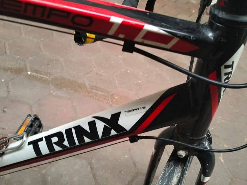 Trinx Tempo1.0 10