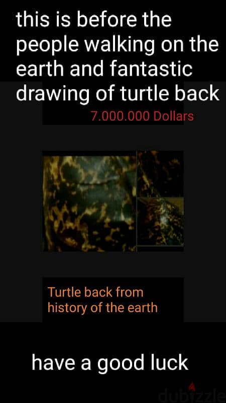 turtle the one of history and 6 stones 3