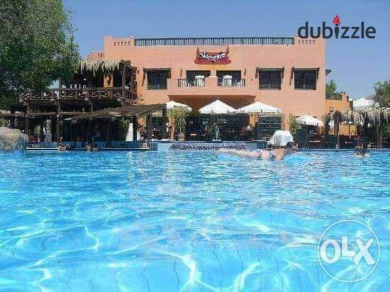 للإيجار في دلتا شرم(غرفة وصالة)Delta sharm resort for rent 0