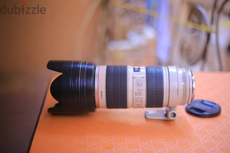 lens canon 70/200 2