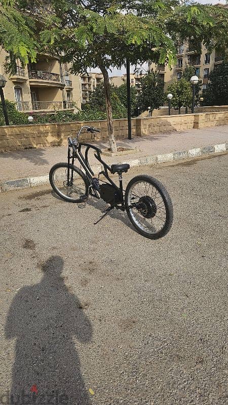 custom made electric bicycle 0