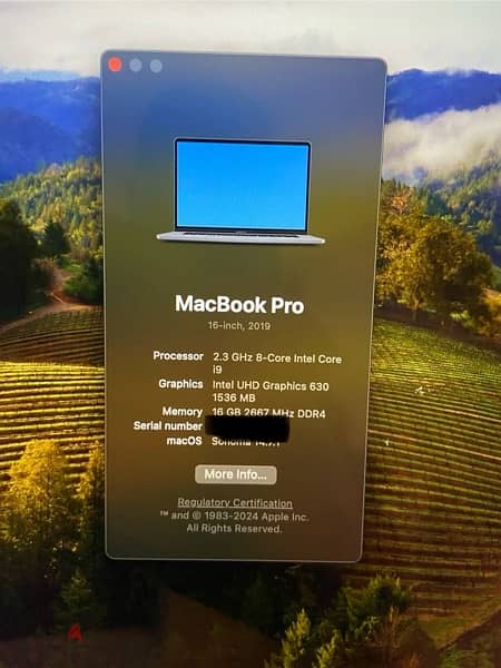 Macbook pro 2019 0