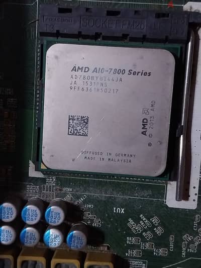 amd