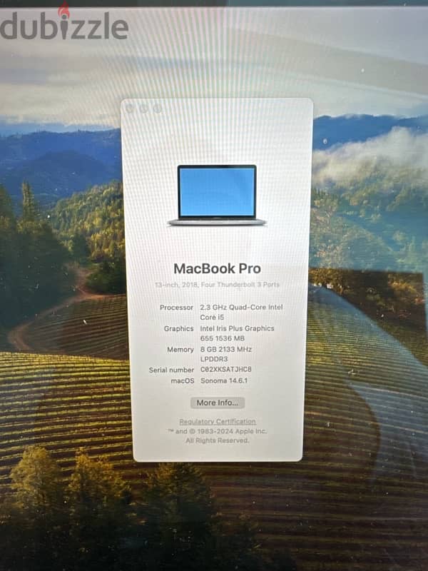 MacBook Pro 13 Inch 1