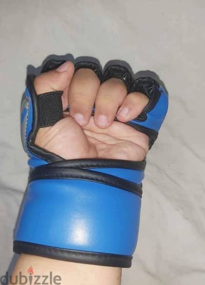 MMA & boxing Gloves