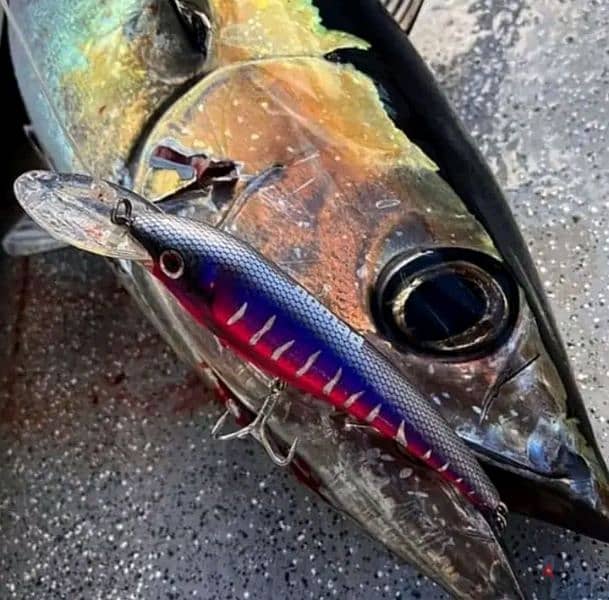 fishing lures كاستينج و صيد جر  جميع الأعماق و ماركات عالمية 6